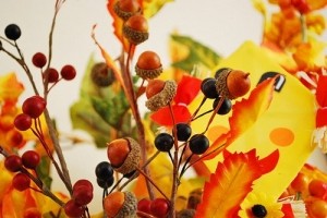 Farmářské trhy: naaranžujte si podzim